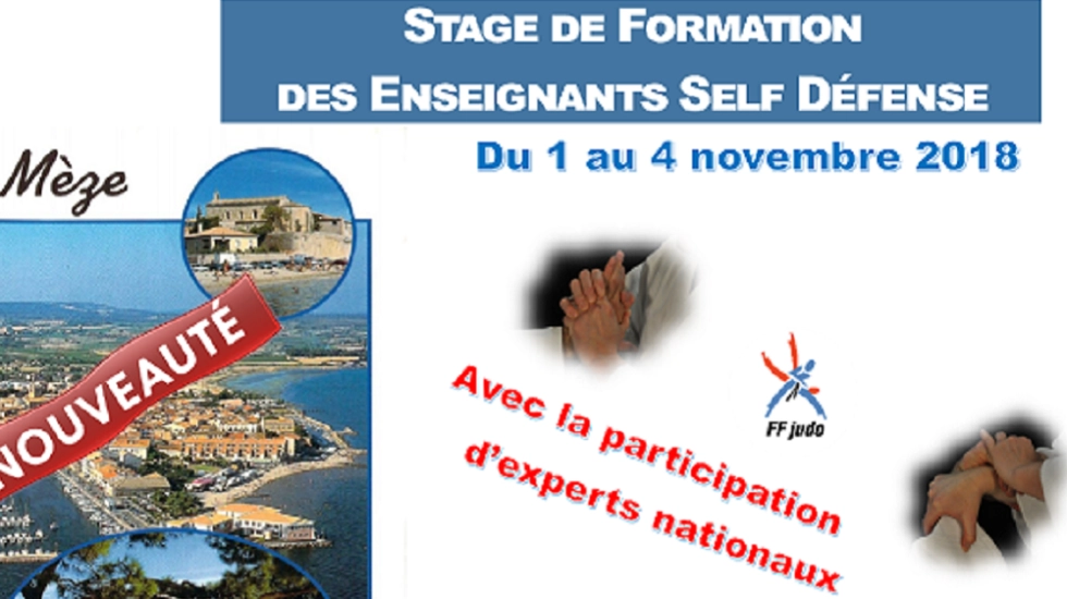 Stage de formation des enseignants - SELF-DEFENSE