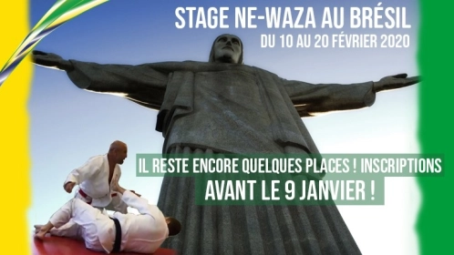 FORMATION - STAGE NE-WAZA AU BRÉSIL